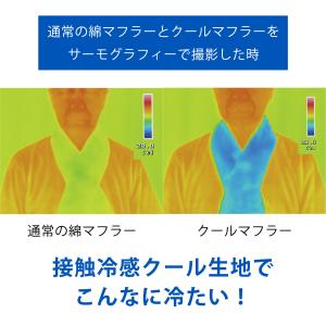 クールタオル 保冷剤付 日本製 熱中症対策グッ...の詳細画像5