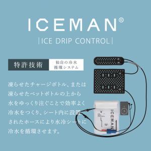 ベビーカー 水冷シート べびひえ(R) 冷感 ...の詳細画像3