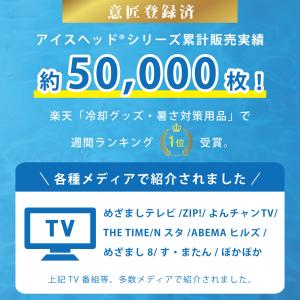 アイスヘッド 帽子用保冷剤 熱中症 暑さ対策グ...の詳細画像3