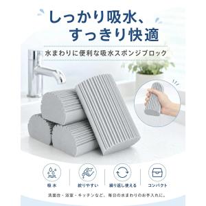 【SNSで話題沸騰】ダンプダスター 2個セット...の詳細画像2