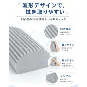 【SNSで話題沸騰】ダンプダスター 2個セット...の詳細画像3