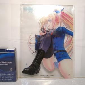 やはり俺の青春ラブコメはまちがっている。完 【描き下ろし