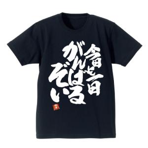 機動戦士ガンダム 閃光のハサウェイ グッズ マフティー ドライTシャツ