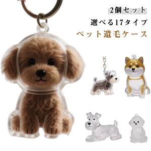 キーホルダー 遺毛 犬の毛収納ボトル 透明 ペッ...の商品画像
