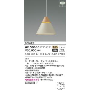 最新モデル OG254344 LEDスポットライト オーデリック odelic