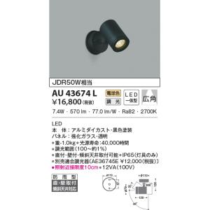 最新モデル OG254344 LEDスポットライト オーデリック odelic