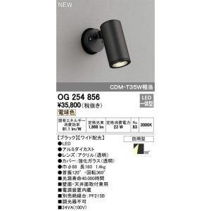 最新モデル OG254344 LEDスポットライト オーデリック odelic