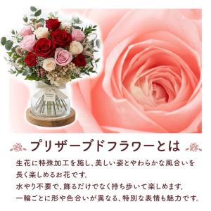 プレミアム会員限定 13日まで1480円 敬老...の詳細画像2
