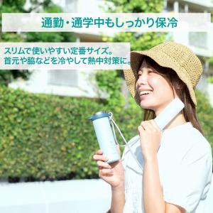 ピーコック ミニアイスパック 2026年モデル...の詳細画像5