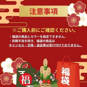 2026年1月6日順次発送 ★家電ガジェット ...の詳細画像5