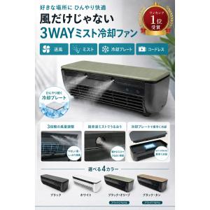 塗装モデル 冷却プレート 搭載 ミスト ミニク...の詳細画像2