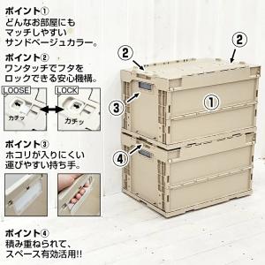 即納 3個セット 日本製 コンテナボックス 折...の詳細画像5