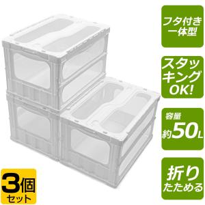 RISU（家具、インテリア） 折りたたみコンテナ 50L 扉付蓋付