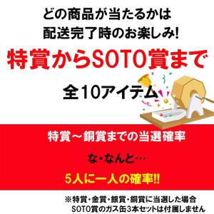 【月・水・金抽選】★くじ Alice SOTO...の詳細画像1