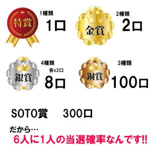 【月・水・金抽選】★くじ Alice SOTO...の詳細画像2