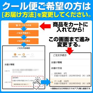 即納 無料熨斗サービス対応 とらや 羊羹 10...の詳細画像4