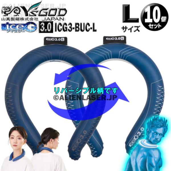 未洗浄 10個セット ICG3-BUC-L ×10 ice-G 3.0 ブルー Lサイズ ICEG ...