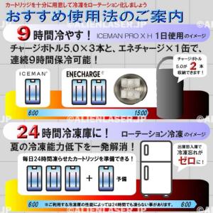 ボトル合計3本 ICMPX2-GYV-SET ...の詳細画像2