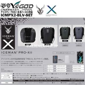 ボトル合計3本 ICMPX2-GYV-SET ...の詳細画像3