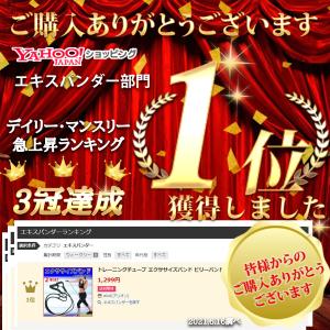 ビリーバンド トレーニングチューブ エクササイ...の詳細画像1