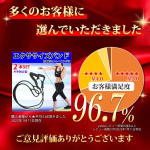 ビリーバンド トレーニングチューブ エクササイ...の詳細画像3