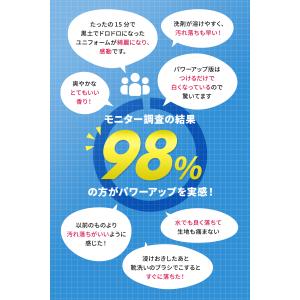 【本店】泥汚れ洗剤『レギュラー』1.5kg 爆...の詳細画像4