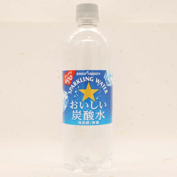 サッポロ おいしい炭酸水 600ml ×24本