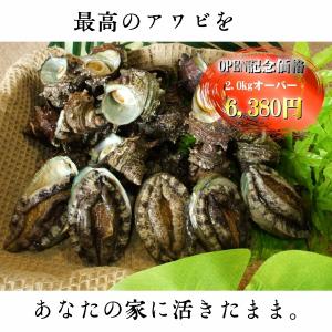 50 活き アワビ 最高の花の画像