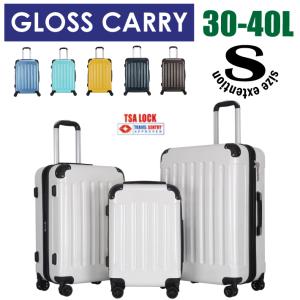 条件付き送料無料】ヒョウ柄 キャリーケース Mサイズ 軽量 旅行