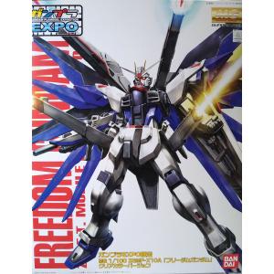 1/100  バンダイ  MG  ガンプラEXPO限定  ガンダムSEED ガンダムシード   フリーダムガンダム  クリアカラーver.       プラモデル