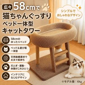 【2026年秋モデル】猫ちゃんぐっすりベッド一体型キャットタワー 58cmワイド 天然サイザル麻 爪とぎ 回転ボール はしご付き 北欧デザイン ねこ ネコ ペット用品
