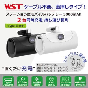 iXpand 特価 iXpand(R) ワイヤレスチャージャー 512GB : ケースマ商店