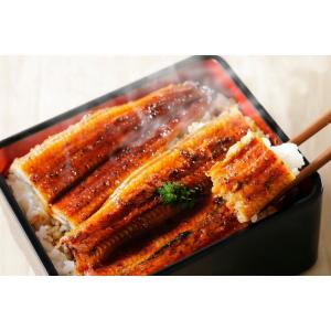 卓上 扇風機 静音 コードレス 強風 小さい 首振り