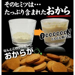 豆乳おからクッキー トリプルZERO 訳あり ...の詳細画像4