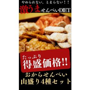おから煎餅匠 訳あり スイーツ お菓子 蒲屋忠兵衛商店010 スイーツ王国