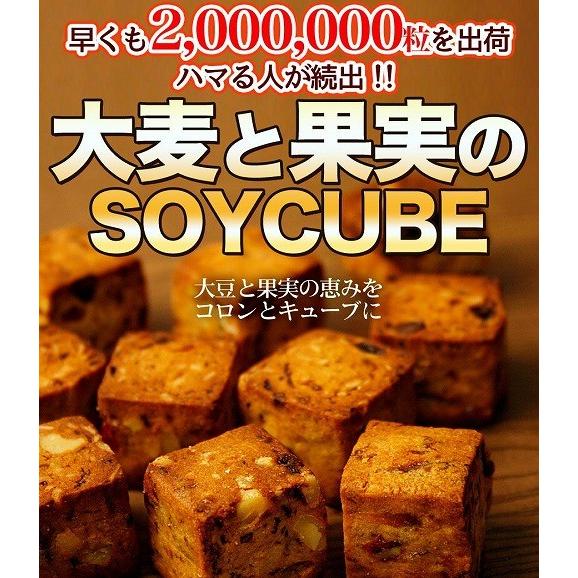 大麦と果実のソイキューブ  訳あり スイーツ お菓子 蒲屋忠兵衛商店012 スイーツ王国