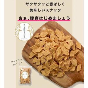 おなかのミカタ 七つの穀物500g 発芽玄米 ...の詳細画像2