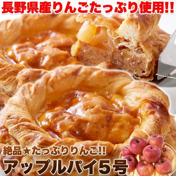 アップルパイ ケーキ 5号 長野県産 絶品りんご ホール 誕生日 デザート スイーツ 冷凍 送料無料
