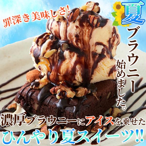 訳あり　高級チョコブラウニーどっさり1kg スイーツ王国  SM00010175