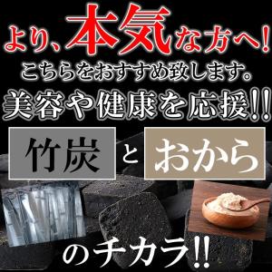 訳あり 竹炭マンナンおからクッキー500g ク...の詳細画像1