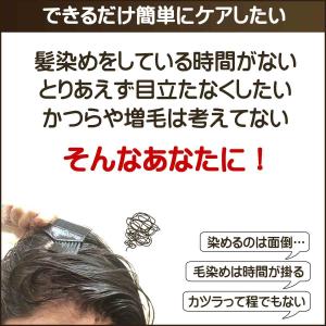 白髪かくし 頭皮用ファンデーション 白髪隠し ...の詳細画像2