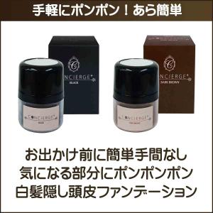 白髪かくし 頭皮用ファンデーション 白髪隠し ...の詳細画像3