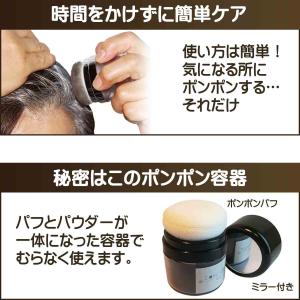 白髪かくし 頭皮用ファンデーション 白髪隠し ...の詳細画像4