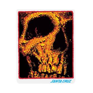 SANTACRUZ サンタクルーズ STREET CREEP REDUX 2.375” U4620-C01 ステッカー