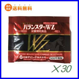 バランスターWZ 120粒 携帯用（4粒×30袋）