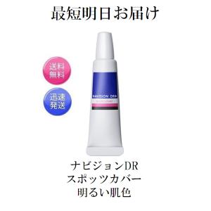 明るい肌色 ナビジョンDR スポッツカバー 15g ファンデーション 部分用 SPF40 PA+++ 資生堂 NAVISION｜オールジャンル真心オンライン