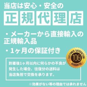 ARCTIC MX-4 4g ヘラ スパチュラ...の詳細画像1