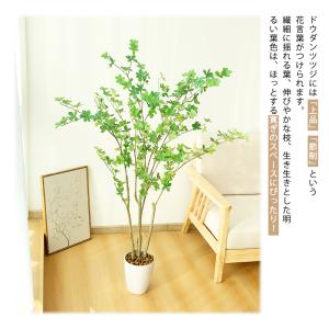 RAKU フェイクグリーン ドウダンツツジ 人...の詳細画像2