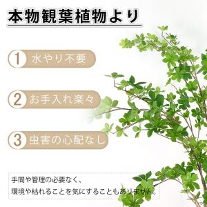 RAKU フェイクグリーン ドウダンツツジ 人...の詳細画像4