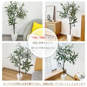 RAKU フェイクグリーン オリーブ 高さ13...の詳細画像1
